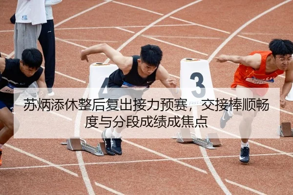 苏炳添休整后复出接力预赛，交接棒顺畅度与分段成绩成焦点