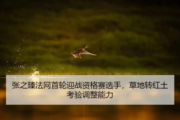 张之臻法网首轮迎战资格赛选手，草地转红土考验调整能力