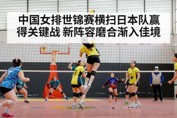 chinese women's volleyball team