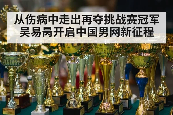 从伤病中走出再夺挑战赛冠军 吴易昺开启中国男网新征程